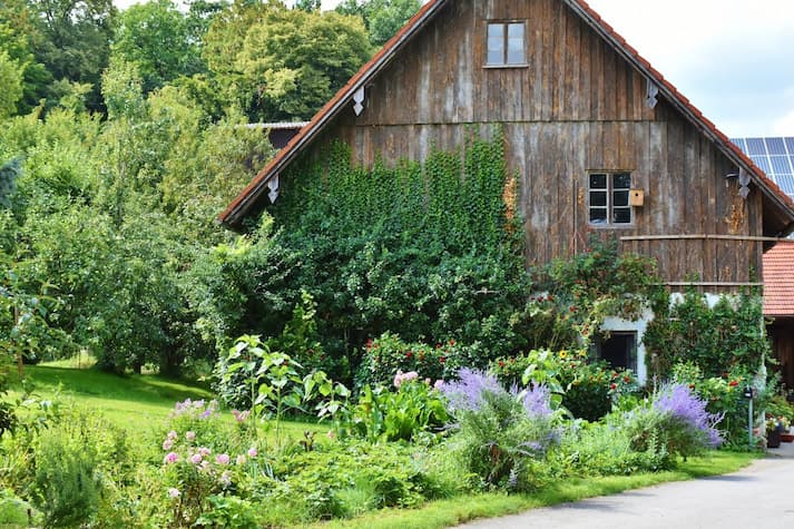  garden inspiration